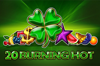 Egt Provide 20 Bh автомат Фугу Казино